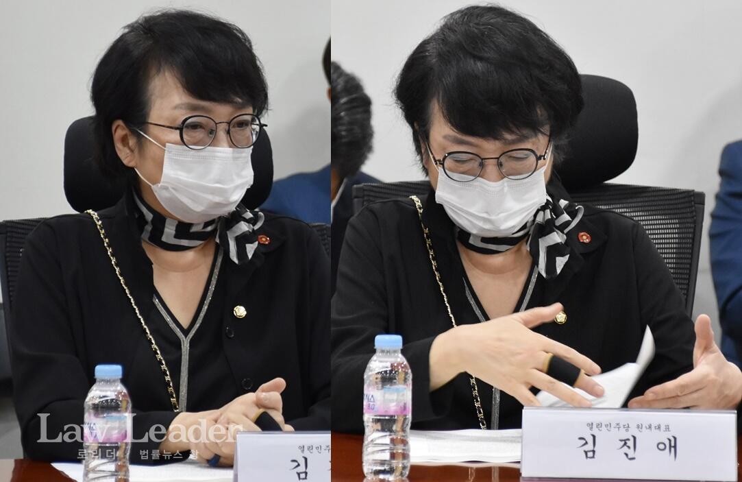 김진애 열린민주당 국회의원