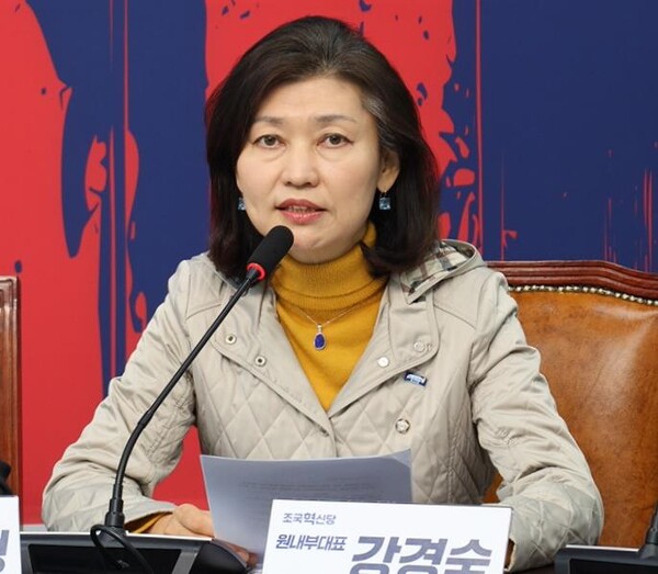 강경숙 조국혁신당 국회의원 / 사진=블로그