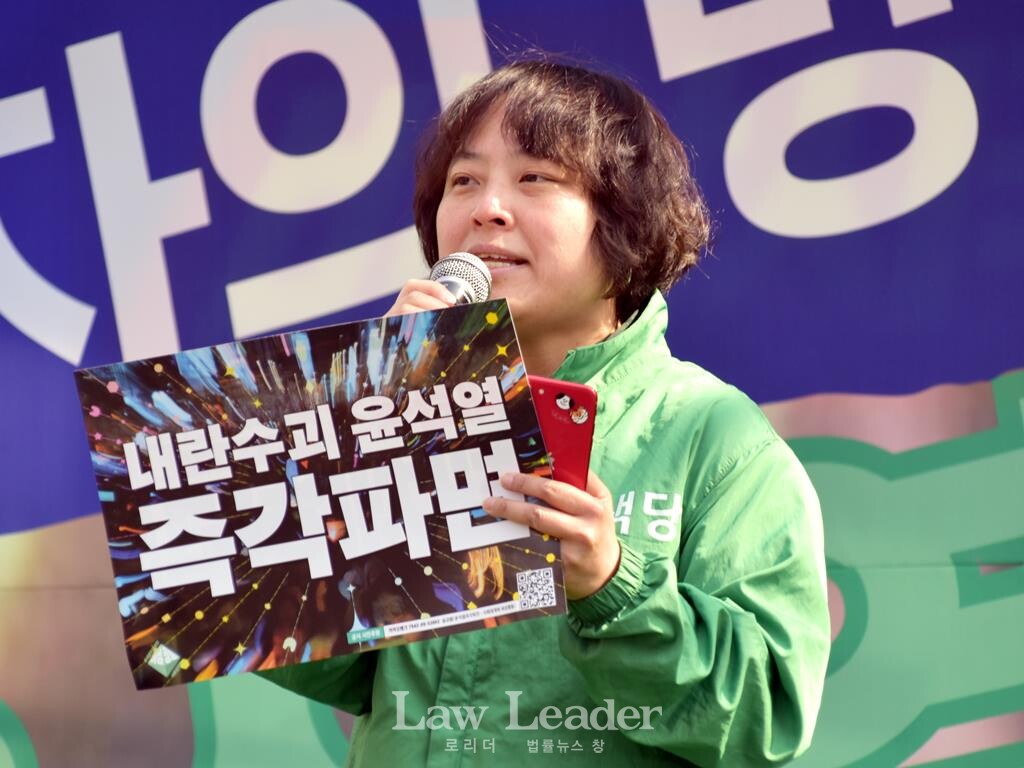 이상현 녹색당 대표