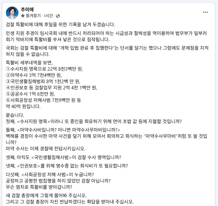 추미애 더불어민주당 국회의원